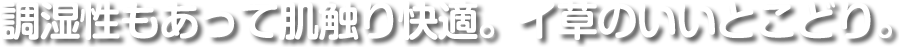 調湿性もあって肌触り快適。イ草のいいとこどり。